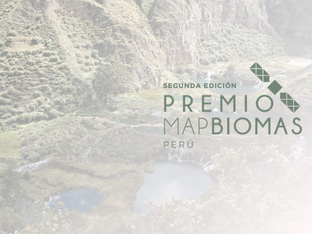 ¡La Segunda Edición del Premio MapBiomas Perú ya está en marcha! Descubre cómo participar